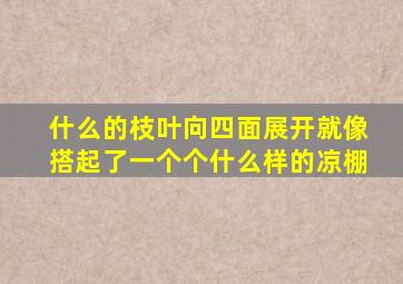 什么的枝叶向四面展开就像搭起了一个个什么样的凉棚