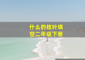 什么的枝叶填空二年级下册