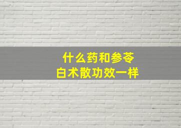 什么药和参苓白术散功效一样