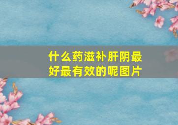 什么药滋补肝阴最好最有效的呢图片