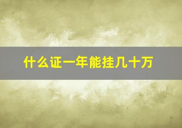 什么证一年能挂几十万