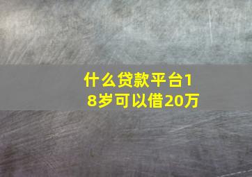 什么贷款平台18岁可以借20万