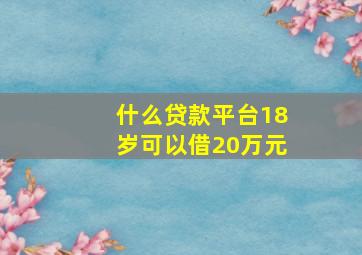 什么贷款平台18岁可以借20万元