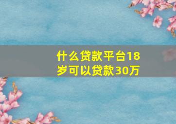 什么贷款平台18岁可以贷款30万