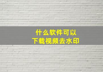 什么软件可以下载视频去水印