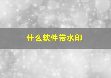 什么软件带水印