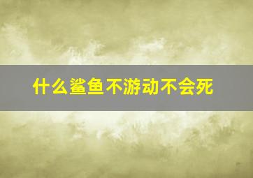 什么鲨鱼不游动不会死