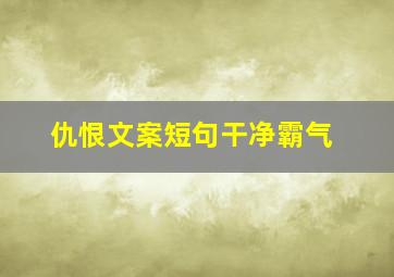 仇恨文案短句干净霸气