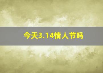 今天3.14情人节吗