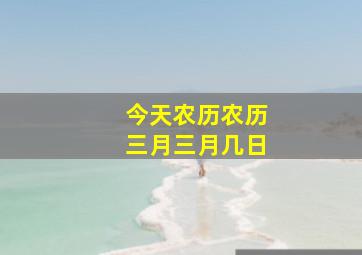 今天农历农历三月三月几日