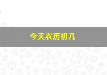 今天农历初几