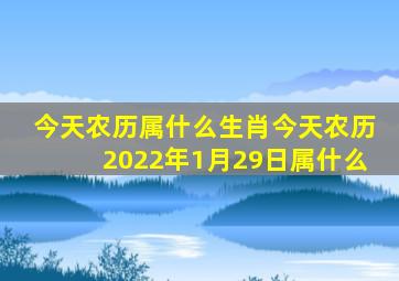 今天农历属什么生肖今天农历2022年1月29日属什么