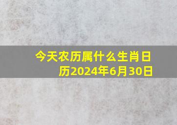 今天农历属什么生肖日历2024年6月30日