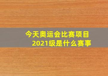 今天奥运会比赛项目2021级是什么赛事