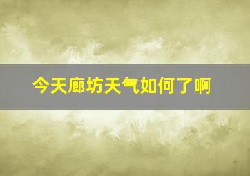 今天廊坊天气如何了啊