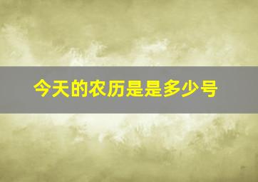 今天的农历是是多少号