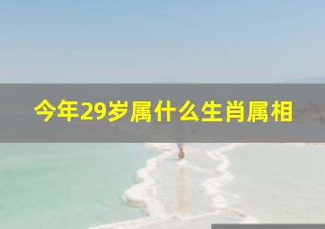 今年29岁属什么生肖属相