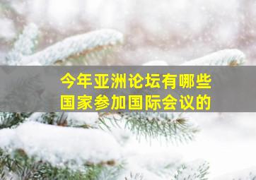 今年亚洲论坛有哪些国家参加国际会议的