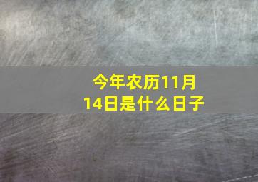 今年农历11月14日是什么日子