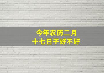 今年农历二月十七日子好不好