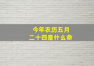 今年农历五月二十四是什么命