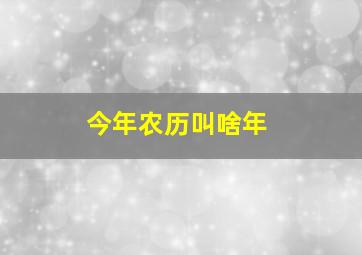 今年农历叫啥年