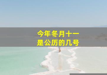 今年冬月十一是公历的几号