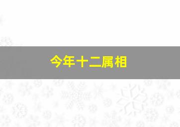 今年十二属相