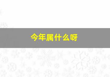 今年属什么呀