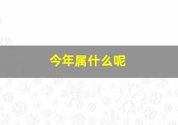 今年属什么呢