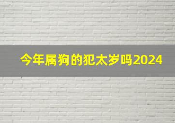 今年属狗的犯太岁吗2024