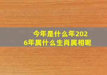 今年是什么年2026年属什么生肖属相呢