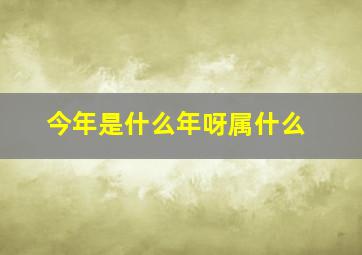 今年是什么年呀属什么