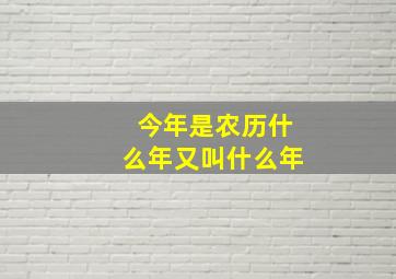 今年是农历什么年又叫什么年