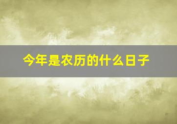 今年是农历的什么日子