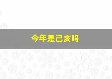 今年是己亥吗