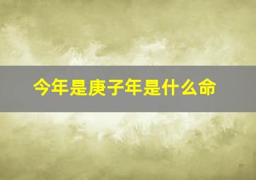 今年是庚子年是什么命