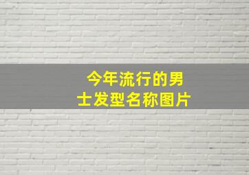 今年流行的男士发型名称图片