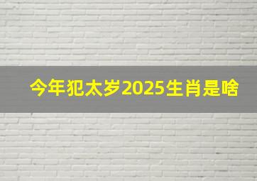 今年犯太岁2025生肖是啥