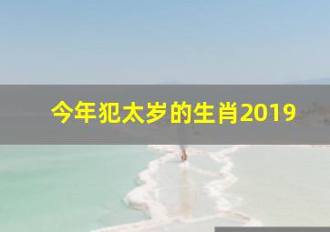 今年犯太岁的生肖2019