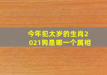 今年犯太岁的生肖2021狗是哪一个属相