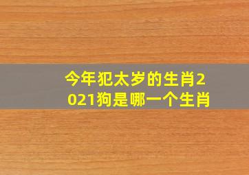 今年犯太岁的生肖2021狗是哪一个生肖