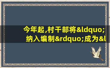 今年起,村干部将“纳入编制”成为“公务员”