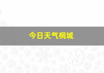 今日天气桐城