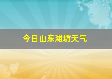 今日山东潍坊天气