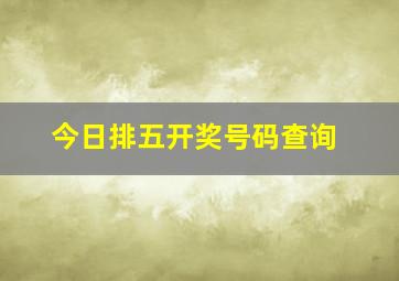 今日排五开奖号码查询