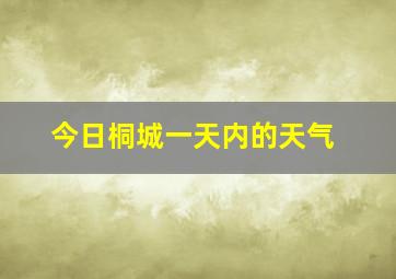 今日桐城一天内的天气