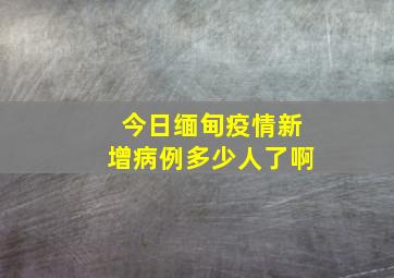 今日缅甸疫情新增病例多少人了啊