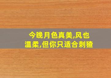 今晚月色真美,风也温柔,但你只适合刺猹