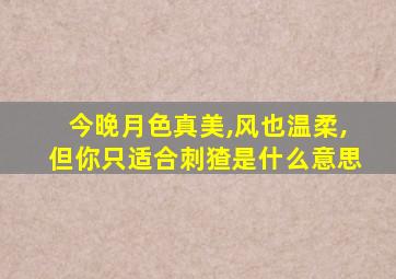 今晚月色真美,风也温柔,但你只适合刺猹是什么意思